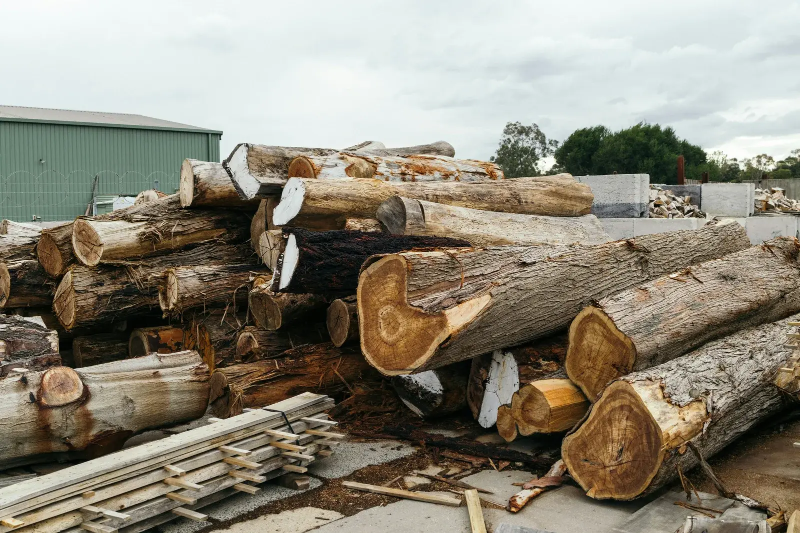 Grumes et bois découpés stockés sur une plateforme