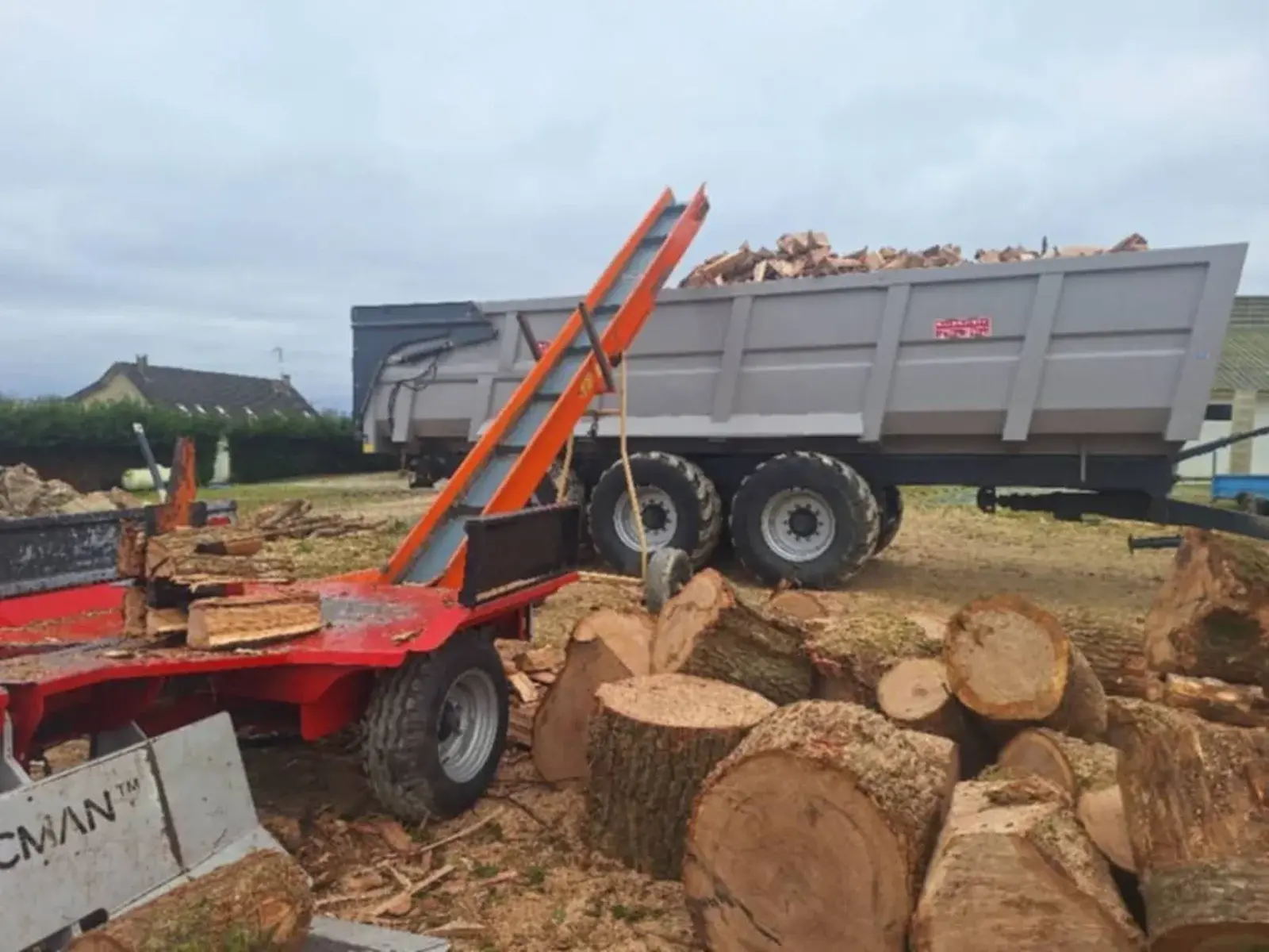Convoyeur chargeant du bois de chauffage dans une benne agricole