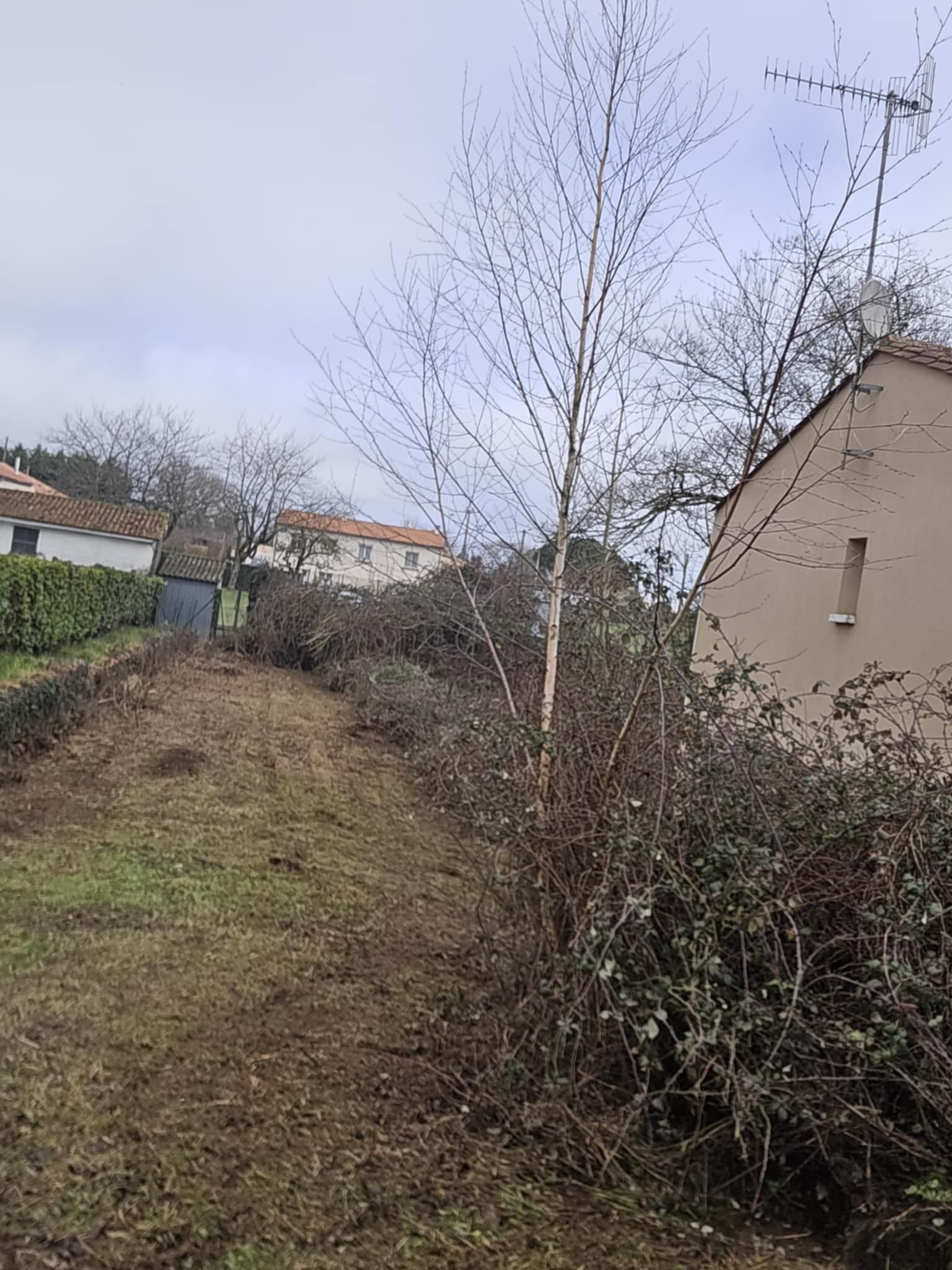 Travaux de défrichement d'allée forestière