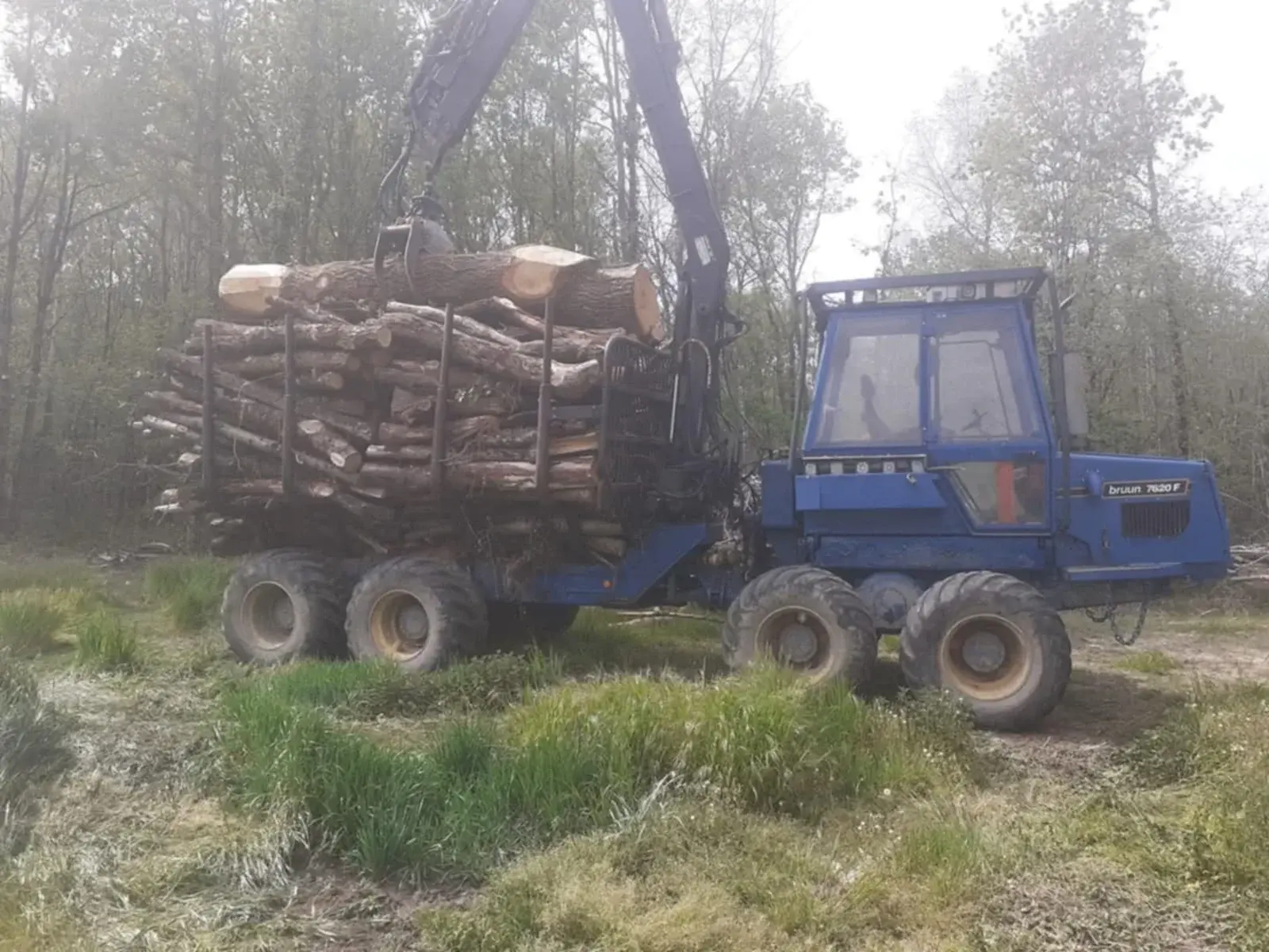 Porteur forestier bleu chargé de grumes en forêt
