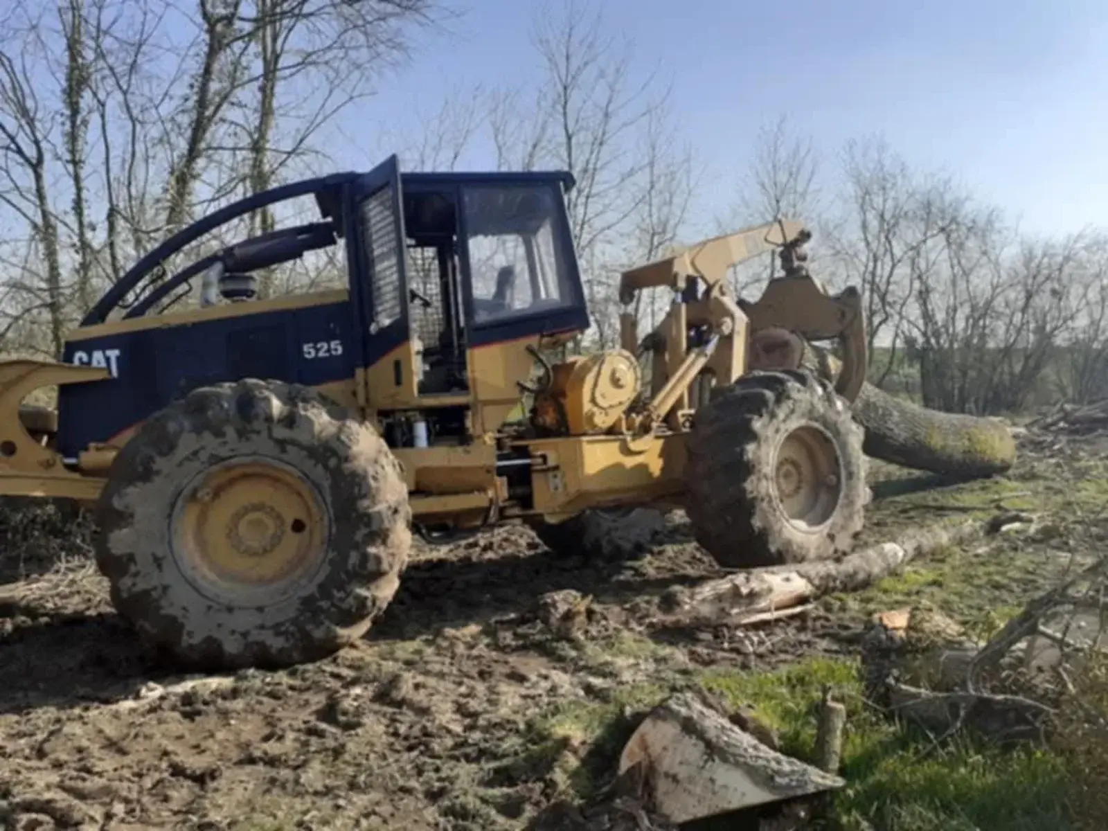 Débardeur forestier à pinces sur un chantier de coupe